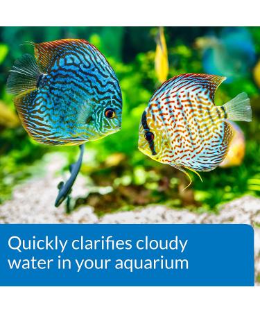 API ACCU-CLEAR 8-Ounce Water Clarifier for Freshwater Aquariums - Clears Cloudy Water Fast! - Buy Online on GoSupps.com