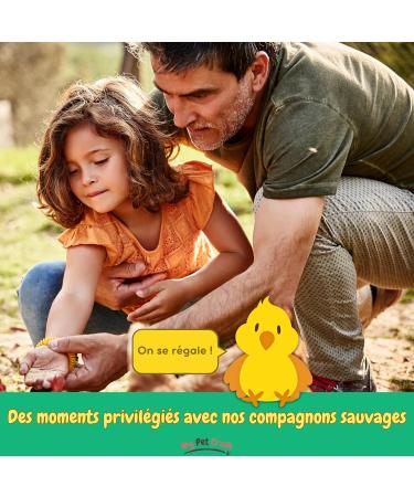 MPC - Dried Mealworms: A High Quality Protein Source for Wild Birds and Reptiles - Food Supplement - Buy Online on GoSupps.com