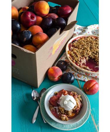 Bob's Red Mill Gluten-Free Quick Cooking Rolled Oats 28 oz - Whole Grain Quality - Buy Online on GoSupps.com