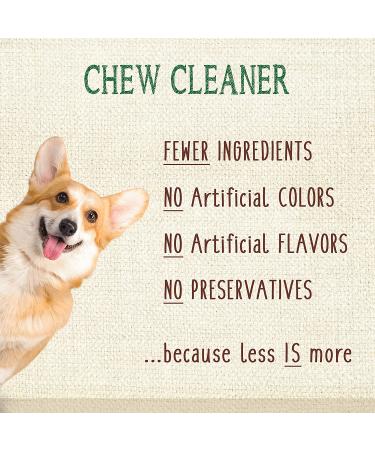 Nylabone Nutri Dent Natural Dental Fresh Breath Chew Treats Mini (160 Count) - Buy Online on GoSupps.com