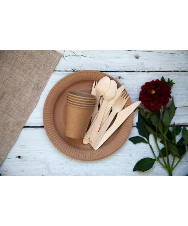 KingSeal Disposable Birch Wood Cutlery Spoons 6.25 Inch - 100 Count Pack | Biodegradable & Earth Friendly - Buy Online on GoSupps.com