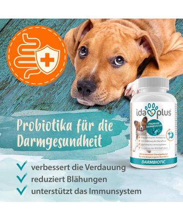 Ida Plus Darmbiotic Probiotics for Dogs - 120 Tablets for Intestinal Health Diarrhea Recovery Immune Support & Digestion Regulation - Buy Online on GoSupps.com