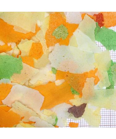 JBL Propond Flakes M 0 13 kg - Buy Online on GoSupps.com