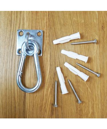 Singing Horse Toy with Carabiner Binders - Stainless Steel Augtplate & Screws Included - Perfect for Kids & Fun Playtime - Buy Online on GoSupps.com