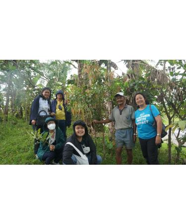 Plantsville Health Cinnamon Coco Sugar 150g - Natural Sugar Substitute for Baking & Drinks - Buy Online on GoSupps.com