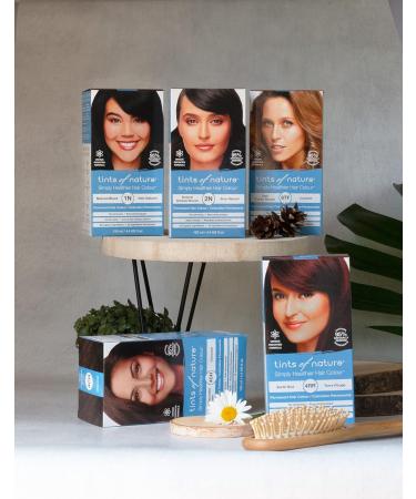 Tints of Nature 2N Natural Darkest Brown Permanent Hair Dye - Ammonia-Free Gray Coverage 130ml | Natural Dark Brown Hair Color - Buy Online on GoSupps.com