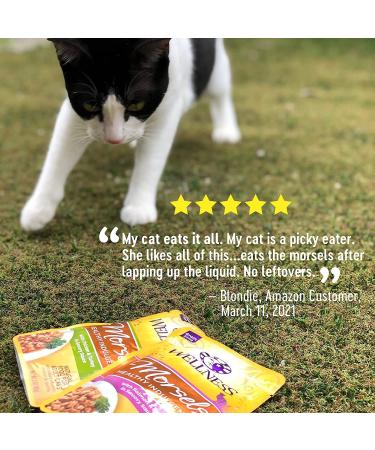 Wellness Grain-Free Wet Cat Food - Chicken & Salmon Pouch, 3oz (24 Pack) - Healthy Indulgence - Buy Online on GoSupps.com