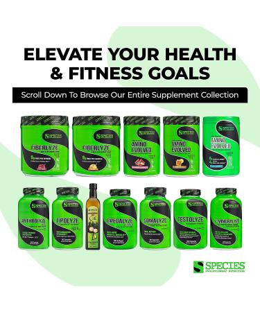 Species Nutrition Fiberlyze Fiber Supplement  Psyllium Based Soluble & Insoluble Fiber Powder for Healthy Colon  Digestive Functions (Fruit Punch  30 Servings) - Buy Online on GoSupps.com