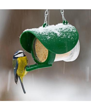Peanut Butter for Birds - Jacobi Jayne Flutter Butter EcoRefills - Buggy Flavour Wild Bird Food - Ultra-Convenient Eco-Friendly Bird Feed - Pack of 12 Refills Buggy Buggy 140 g (Pack of 12) - Buy Online on GoSupps.com