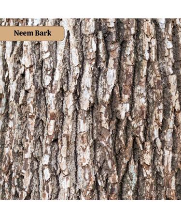 Neotea Azadirachta Indica Neem Bark Powder 300GM (10.58 OZ) | Pure & Natural | Herbal Supplement | Skin & Oral Care | Dental & Digestion Support Tooth Powder - Buy Online on GoSupps.com
