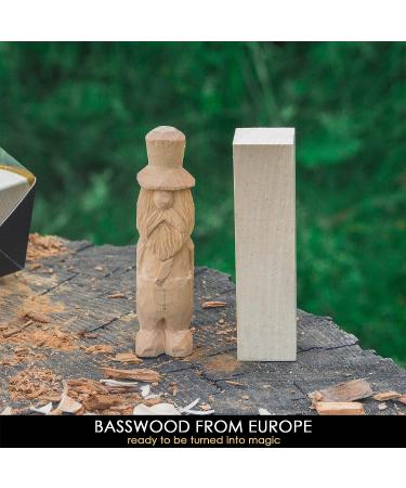 BeaverCraft 18pcs Basswood Carving Blocks - Whittling Wood Kit for Wood Carving and Whittling Set - Buy Online on GoSupps.com