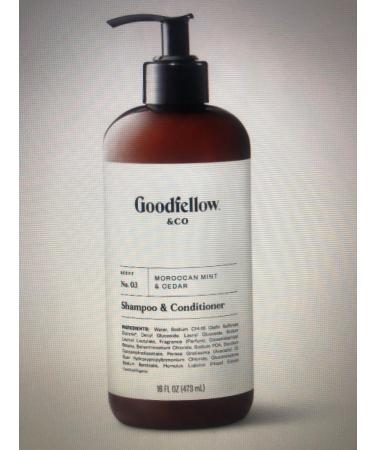 Goodfellow & CO 2 in 1 Shampoo & Conditioner Moroccan Mint & Cedar