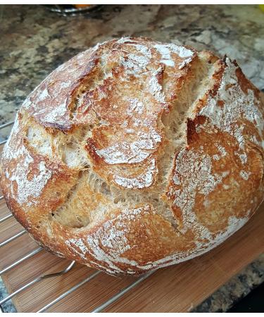 Wild Wheat Sourdough Starter Dehydrated - Contact for Best Customer Service - Buy Online on GoSupps.com