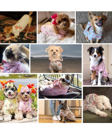 Blueberry Pet 2022/2023 New Spring Scent Inspired Rose Flower Crew-Neck Pullover Dog Sweatshirt in Baby Pink  Back Length 14"  Pack of 1 Clothes for Dogs 14 inch (Pack of 1) Crew-neck - Baby Pink - Buy Online on GoSupps.com