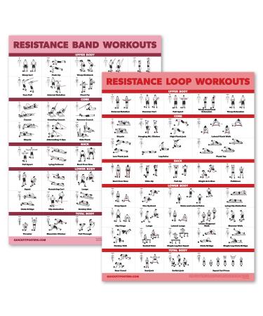 Palace Learning 2 Pack - Resistance Bands and Resistance Loops Workout Posters - Set of 2 Laminated Charts - Resistance Band Tubes and Loops Exercise Charts Light 18 x 24 LAMINATED