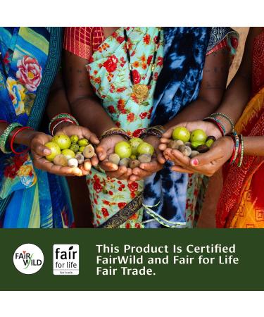 Buy Organic Banyan Botanicals Triphala Tablets | 180 Non-GMO Vegan Tablets for Digestion & Gut Health - Amla Haritaki & Bibhitaki - Buy Online on GoSupps.com