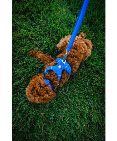RUFFWEAR Front Range Medium Dog Collar - Adjustable Length, Comfortable Fabric, Aluminium V-Ring - 36-51cm - Spring Fade - Buy Online on GoSupps.com