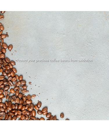 Nanairo Paulownia Wood Coffee Storage Box for 24 Ounce Coffee Beans Made in Japan - Buy Online on GoSupps.com