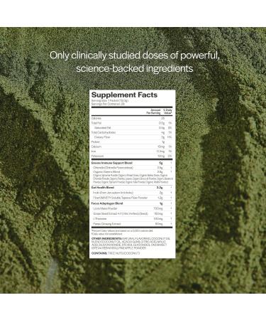 Gainful Daily Performance Greens Powder Gut Health Energy Focus and Immune Support with L Theanine Organic Greens Chlorella Ginger Green + Adaptogen Drink Mix (10 Pack Tropical Pineapple) - Buy Online on GoSupps.com