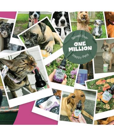 Pets Purest Senior Dog Supplement - Vitality, Joint, Brain, Heart, & Immunity Support - Omega 3, 6, 9 - Dogs, Cats, Pets - Buy Online on GoSupps.com