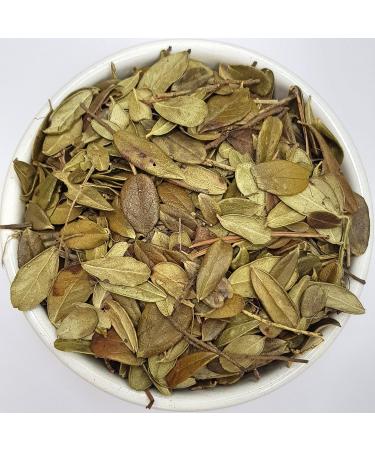 Herba Organica Cowberry Leaf 100g - Vaccinium Vitis-Idaea - Lingonberry Partridgeberry | High Quality Organic Herbal Tea - Buy Online on GoSupps.com