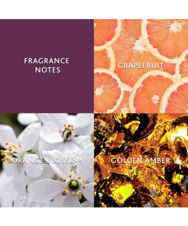 Christina Aguilera Violet Noir Perfume for Women Eau de Parfum Spray 0.5 fl. oz 0.5 Fl Oz (Pack of 1) - Buy Online on GoSupps.com