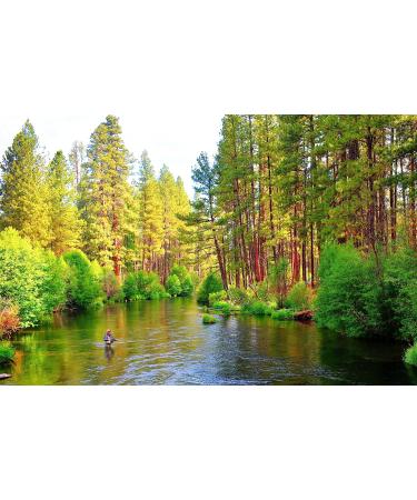 Muddler Minnow Fly Fishing Flies - Set of 4 - Size 4 Hooks for Bass and Trout - Buy Online on GoSupps.com