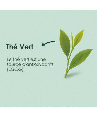  YUNNAN TUOCHA Yunnan tuocha Zouji Organic Natural Green Tea 200 Sachets (Pack of 10 x 20 Sachets) 400 g Yunnan Origin Guarantee - Buy Online on GoSupps.com