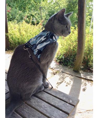 Mynwood Escape Proof Jacket/Harness for Adult Cats - Blue | International Shipping Available - Buy Online on GoSupps.com