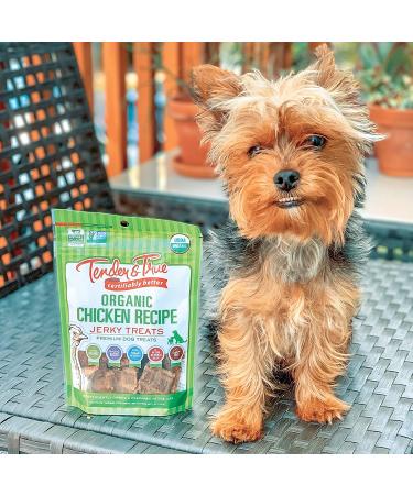 Tender & True Organic Chicken Jerky Treats - 4 oz | Natural Dog Chew Snacks - Buy Online on GoSupps.com
