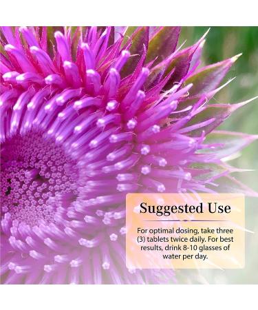 Nature's Secret Milk Thistle Liver Cleanse - 18 Botanical Blend for Detox & Healthy Liver Function - Antioxidant Support - 60 Tablets - Buy Online on GoSupps.com