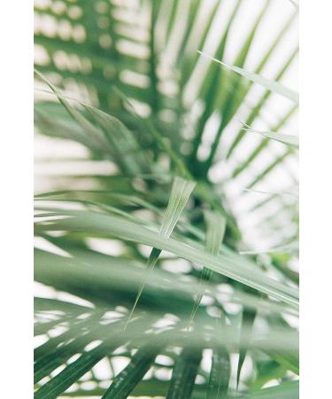  Dr. Spiller Dr. Spiller Cell Rebuilding Intense Remanufacturing Cream - 24-hour gentle cream - 22% lipid content - Energy provider for tired and stressed skin - Reduces wrinkles and visibly increases skin volume - Buy Online on GoSupps.com