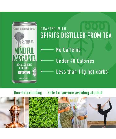 Mindful Margarita - Non-Alcoholic Tea Cocktail - 4-Pack | SPIRITY COCKTAILS - Buy Online on GoSupps.com