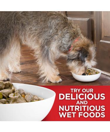 Hill's Science Diet Adult Oral Care Chicken Rice & Barley Recipe Dry Dog Food for dental health 15 lb Bag 6.8 kg (Pack of 1) Dry Dog Food - Buy Online on GoSupps.com