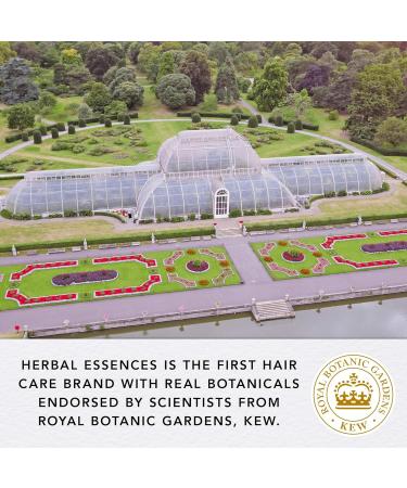 Herbal Essences Hanf Conditioner 180 ml - Nourishing Hemp Formula for Soft Healthy Hair | International Shipping Available - Buy Online on GoSupps.com