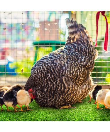 Rural365 Artificial Turf Nesting Box Pads - 12x12, 4 Pack - Chicken Coop Grass Laying Pads - Buy Online on GoSupps.com
