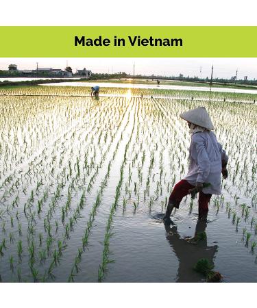 Star Anise Gluten Free Asian Noodles - Brown Rice Pho Kit | Quick Meals & Pad Thai Alternative | Pack of 6 (12 Servings) - Buy Online on GoSupps.com