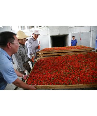 Organic Wholeberry Goji Berries 32oz - Raw, Vegan, Gluten-Free Superfood high in Protein, Fiber, Vitamin A & Iron - Buy Online on GoSupps.com