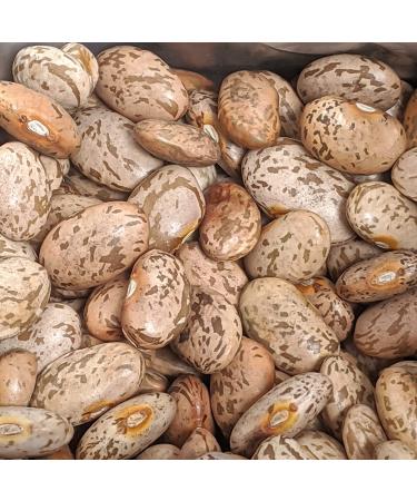 Pinto Beans Dry Bulk (16 Pounds) - Premium USA Grown for Perfect Refried Beans | 100% Natural & Triple Cleaned - Buy Online on GoSupps.com