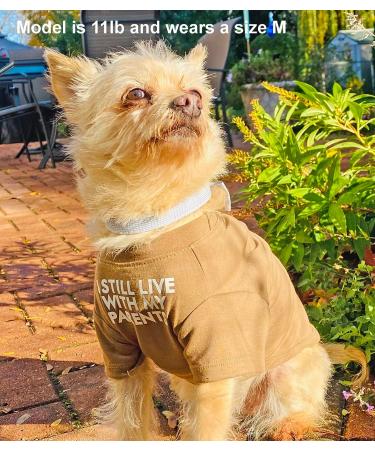 Cute Dog T-Shirt for Medium & Small Dogs - Breathable Pet Costume for Puppies & Cats (S-(48lb) Chest14 Aqua) - Buy Online on GoSupps.com