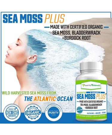 Power By Naturals Certified Organic Sea Moss Plus Supplements - 60 Vegan Capsules with Irish Sea Moss, Bladderwrack, and Burdock Root for Pure and Potent Seaweed Blend - Buy Online on GoSupps.com