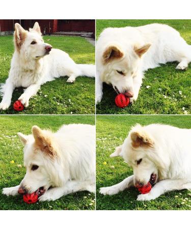 Bounce and Bella Treat Ball & Grain Free Poultry Dog Training Treats - 800 Tasty Treat Pack - Treat Dispenser Colour either Green or Red - Chosen at Random - Buy Online on GoSupps.com