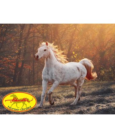 Scheidler Horse-Direkt Teufelskralle Liquid 5000ml - Joint Support for Horses | Devil Claw Alternative to Powder - Promote Mobility & Joint Health - Buy Online on GoSupps.com