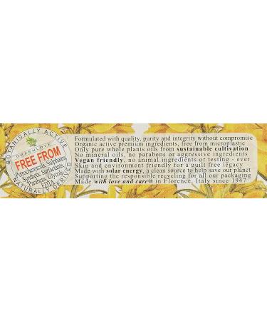 Nesti Dante Dei Colli Fiorentini Triple Milled Soap - Broom 250g | Luxe Vegan Soap for International Shipping - Buy Online on GoSupps.com