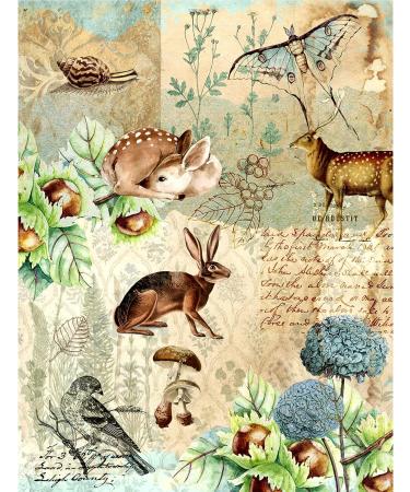 Woodland Theme Mulberry Rice Paper 8x10.5 inch - 6 Unique Designs for Decoupage and Mixed Media Crafts - Buy Online on GoSupps.com