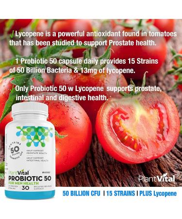 PlantVital Probiotic Supplement for Men - 50 Billion CFUs 15 Strains Probiotics for Men - Supports Prostate Digestive and Gut Health - 1 Month Supply 30 Capsules 30 count (Pack of 1) - Buy Online on GoSupps.com