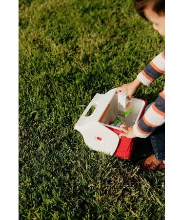 Igloo 4 Qt Playmate Mini Hardsided Lunch Box Cooler in Red - Convenient & Portable - Buy Online on GoSupps.com