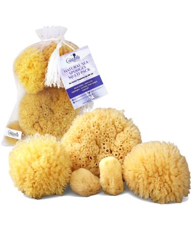 Real Natural Sea Sponges Multipack - 5pc Spa Gift Set in Premium Bag, Kind on Skin, for Bath Shower Facial Cleansing, Pamper Moms Brides Girlfriends & Teens (5 Pack Standard Packaging)
