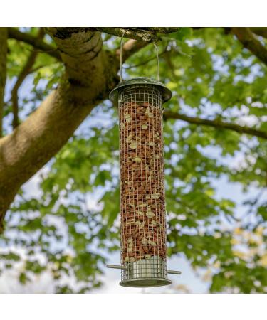 Gardman Whole Peanuts - Pack of 1 (1 x 12.7 kg) - Buy Online on GoSupps.com