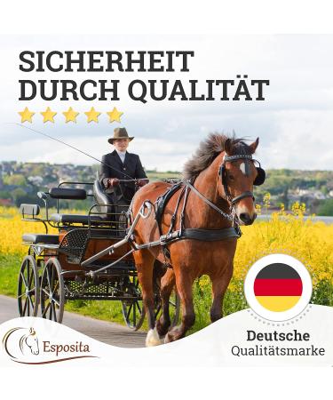 Shop Esposita Professional Carriage Dishes for Shetlands Ponies & Horses - Black & Bright Brown X-SHOTY | International Shipping Available - Buy Online on GoSupps.com